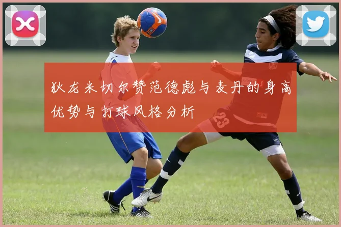 狄龙米切尔赞范德彪与麦丹的身高优势与打球风格分析