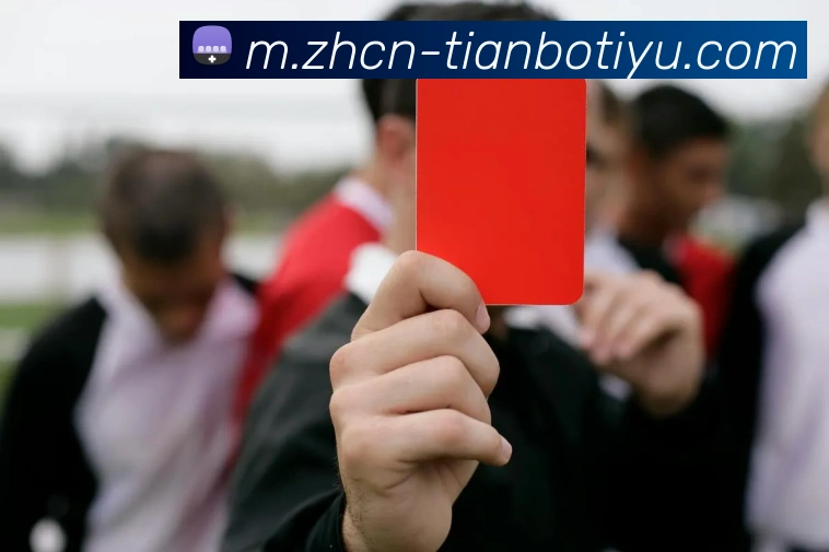 天博体育APP 封面图